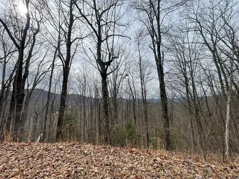 Tbd Chimney Top Trail Murphy NC 28906