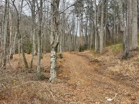 Tbd Chimney Top Trail Murphy NC 28906
