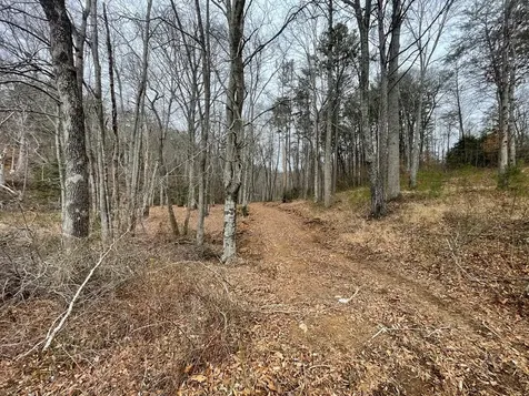 Tbd Chimney Top Trail Murphy NC 28906