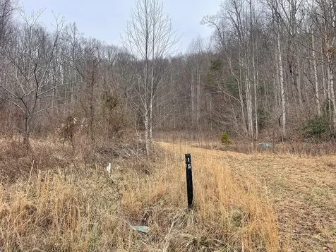 Tbd Chimney Top Trail Murphy NC 28906