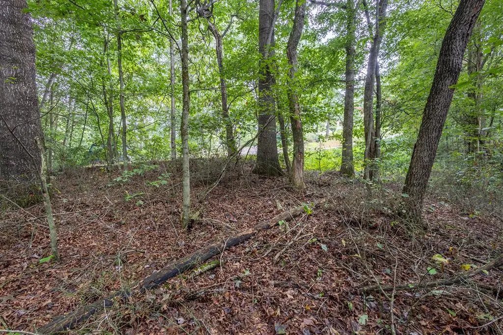 3 Ac Chestnut Flats Road Andrews NC 28901