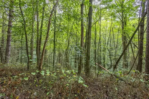 3 Ac Chestnut Flats Road Andrews NC 28901