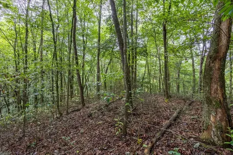 3 Ac Chestnut Flats Road Andrews NC 28901