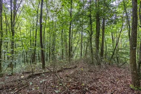 3 Ac Chestnut Flats Road Andrews NC 28901