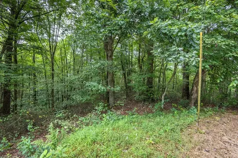 3 Ac Chestnut Flats Road Andrews NC 28901
