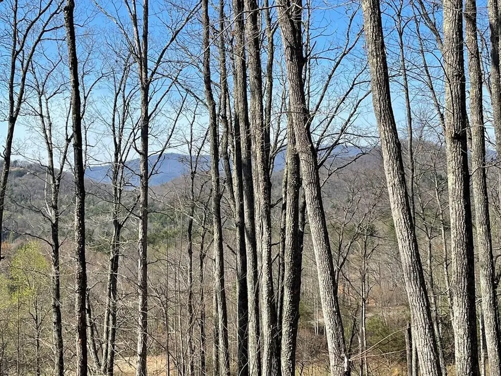 22M 26m Ridges Fairway Hayesville NC 28904