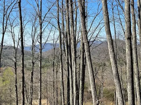 22M 26m Ridges Fairway Hayesville NC 28904