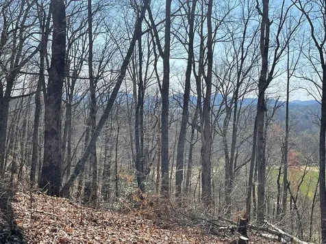 22M 26m Ridges Fairway Hayesville NC 28904