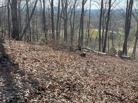 22M 26m Ridges Fairway Hayesville NC 28904