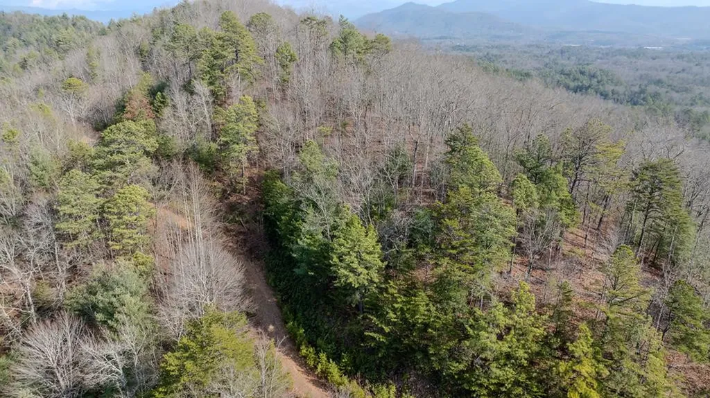 1.03 Deep Forest Road Murphy NC 28906