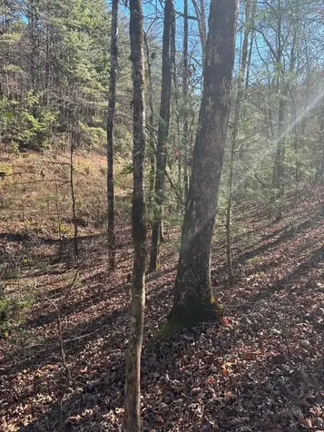 1.03 Deep Forest Road Murphy NC 28906
