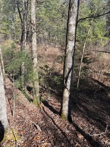 1.03 Deep Forest Road Murphy NC 28906