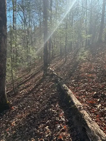 1.03 Deep Forest Road Murphy NC 28906