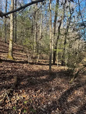 1.03 Deep Forest Road Murphy NC 28906