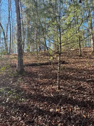 1.03 Deep Forest Road Murphy NC 28906