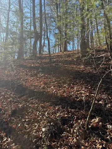 1.03 Deep Forest Road Murphy NC 28906