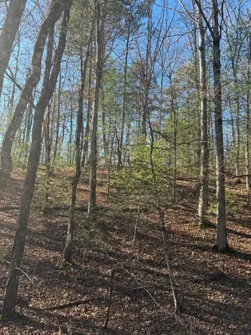 1.03 Deep Forest Road Murphy NC 28906