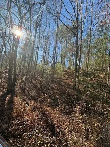 1.03 Deep Forest Road Murphy NC 28906