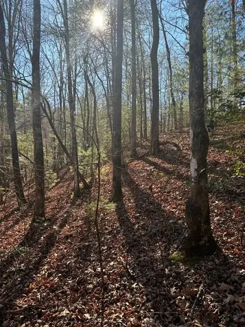 1.03 Deep Forest Road Murphy NC 28906