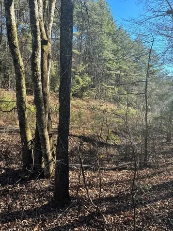 1.03 Deep Forest Road Murphy NC 28906