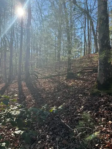 1.03 Deep Forest Road Murphy NC 28906
