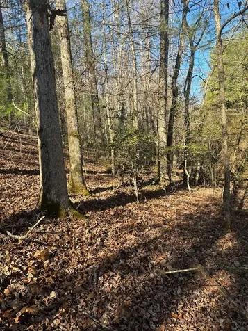 1.03 Deep Forest Road Murphy NC 28906
