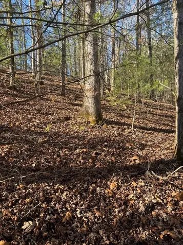 1.03 Deep Forest Road Murphy NC 28906