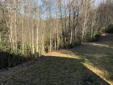 60 Porterfield Gap Road Robbinsville NC 28771