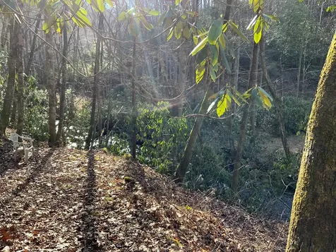 60 Porterfield Gap Road Robbinsville NC 28771