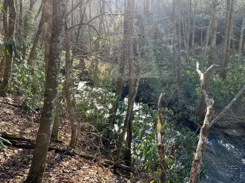 60 Porterfield Gap Road Robbinsville NC 28771