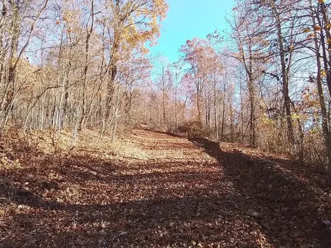 1500 Bear Mountain Road Murphy NC 28906