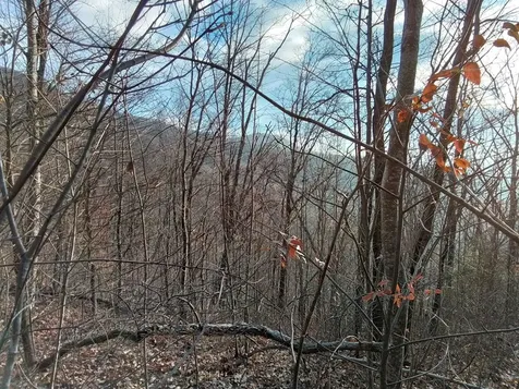 1500 Bear Mountain Road Murphy NC 28906