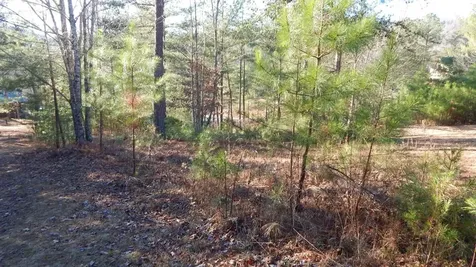 0 Walk Trail Murphy NC 28906