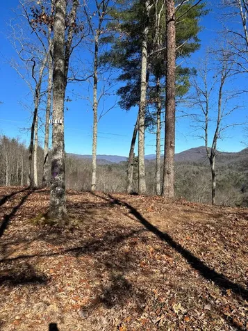 Lot 63 Thundering Hill Murphy NC 28906