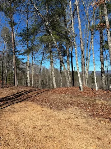 Lot 63 Thundering Hill Murphy NC 28906