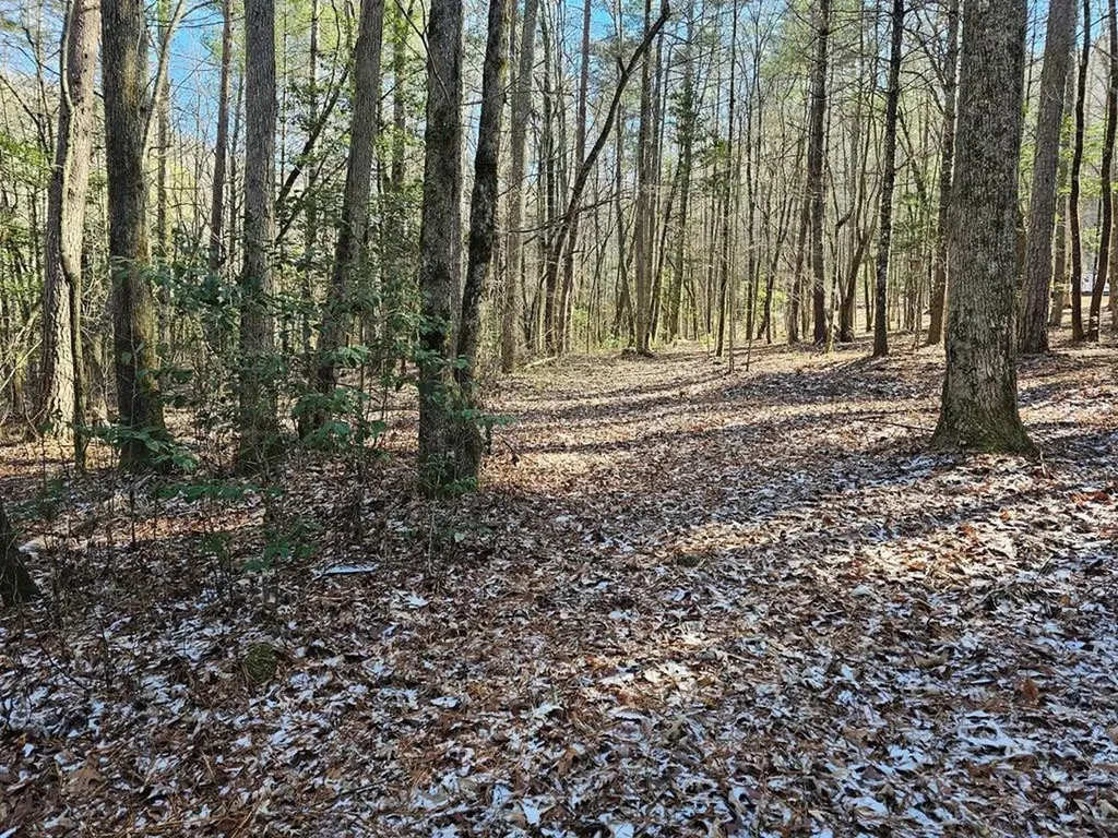 0 Beaverdam Road Murphy NC 28906