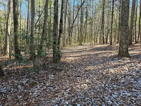 0 Beaverdam Road Murphy NC 28906