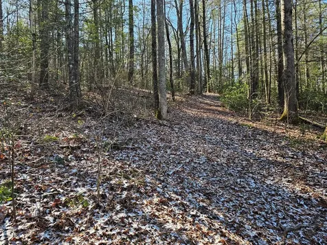 0 Beaverdam Road Murphy NC 28906