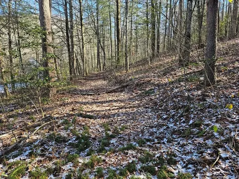 0 Beaverdam Road Murphy NC 28906