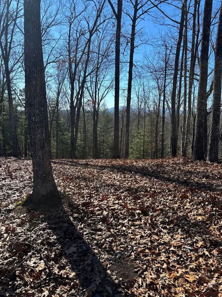 Lot 64 Thundering Hill Murphy NC 28906