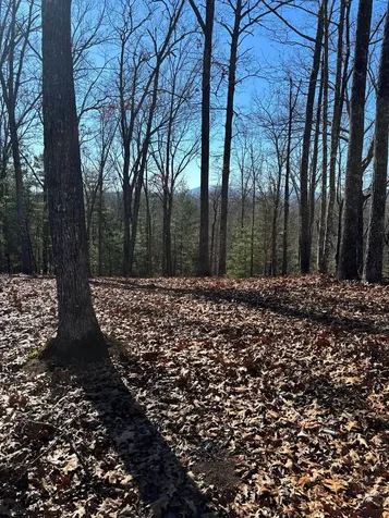 Lot 64 Thundering Hill Murphy NC 28906
