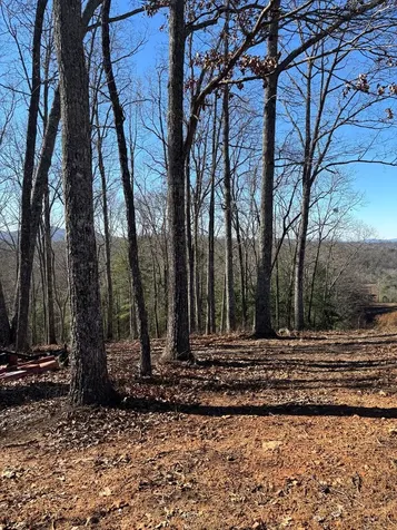 Lot 64 Thundering Hill Murphy NC 28906