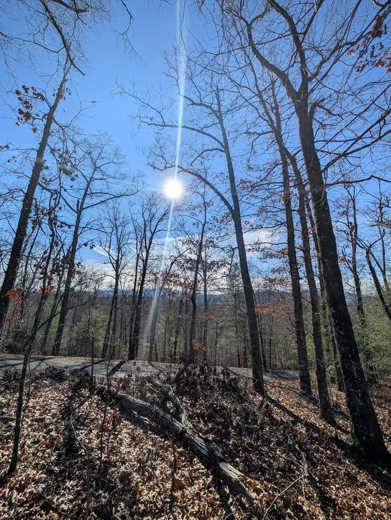 Lot 31 Tower Falls Lane Hayesville NC 28904