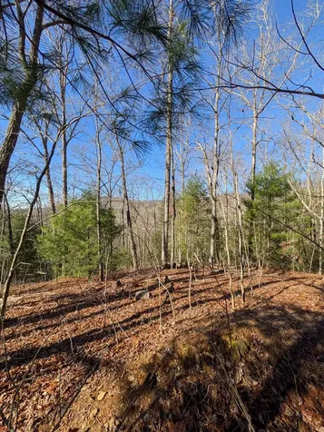 Lot 31 Tower Falls Lane Hayesville NC 28904