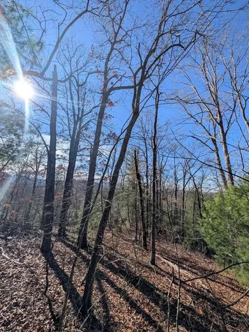 Lot 31 Tower Falls Lane Hayesville NC 28904