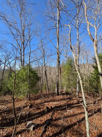 Lot 31 Tower Falls Lane Hayesville NC 28904