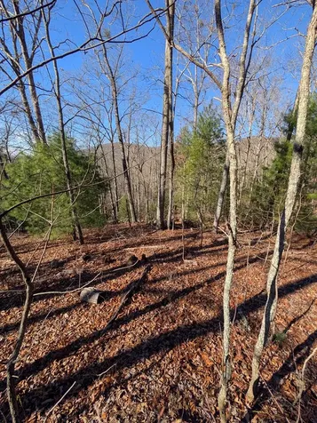 Lot 31 Tower Falls Lane Hayesville NC 28904