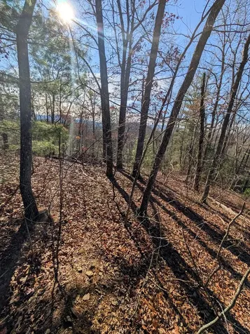 Lot 31 Tower Falls Lane Hayesville NC 28904