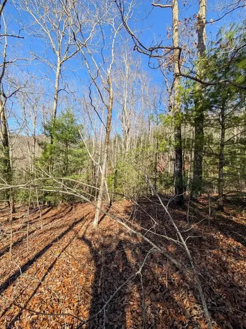 Lot 31 Tower Falls Lane Hayesville NC 28904