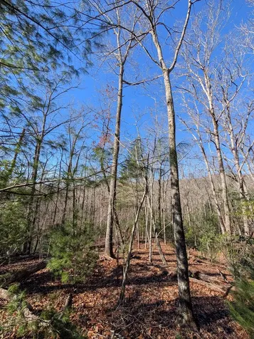 Lot 31 Tower Falls Lane Hayesville NC 28904